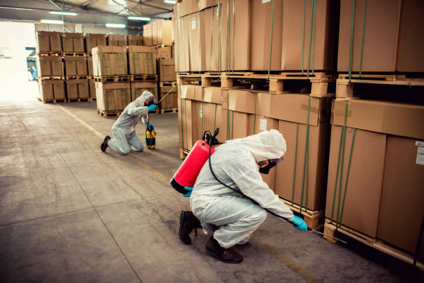 Best Pest Prevention Services  in Scotia, NY