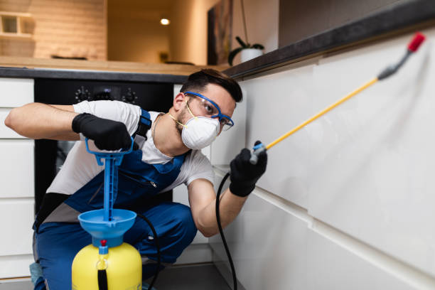 Best Termite Control Services  in Scotia, NY