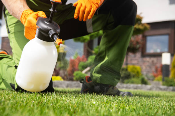Pest Control for Restaurants in Scotia, NY