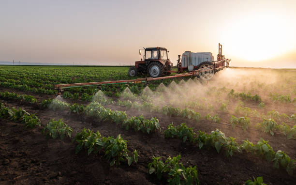 Best Commercial Pest Control Services  in Scotia, NY