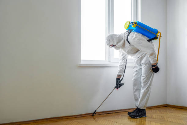 Best Residential Pest Control  in Scotia, NY