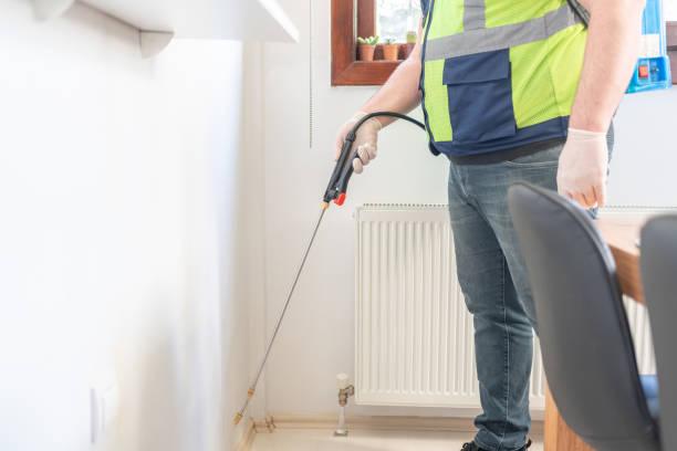 Best Termite Control Services  in Scotia, NY
