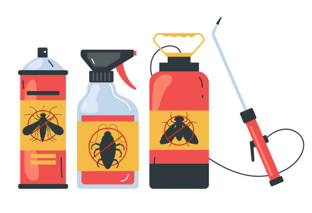 Best Spider Control Near Me  in Scotia, NY