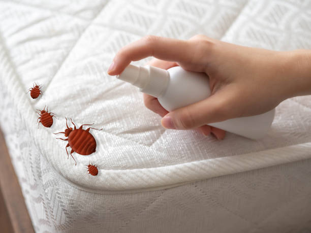 Pest Control Cost in Scotia, NY